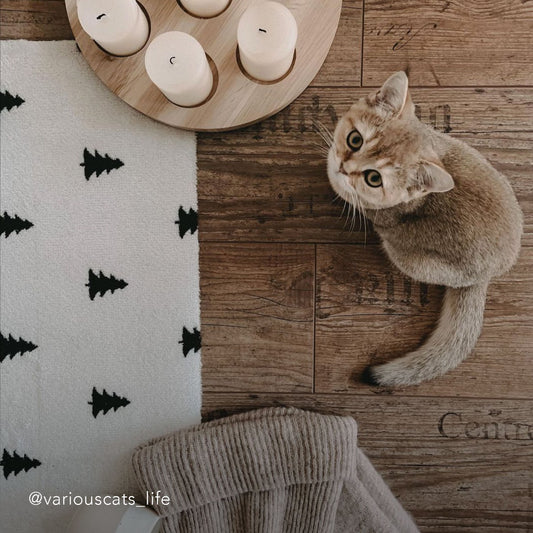 Waschbare Fußmatte Tannen