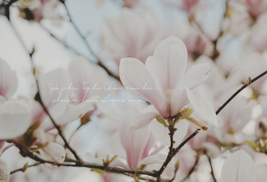 Hallo Mai! Dein neues Wallpaper ist da | Mai 2026