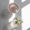 Doppelwandiges Glas Herz 100ml