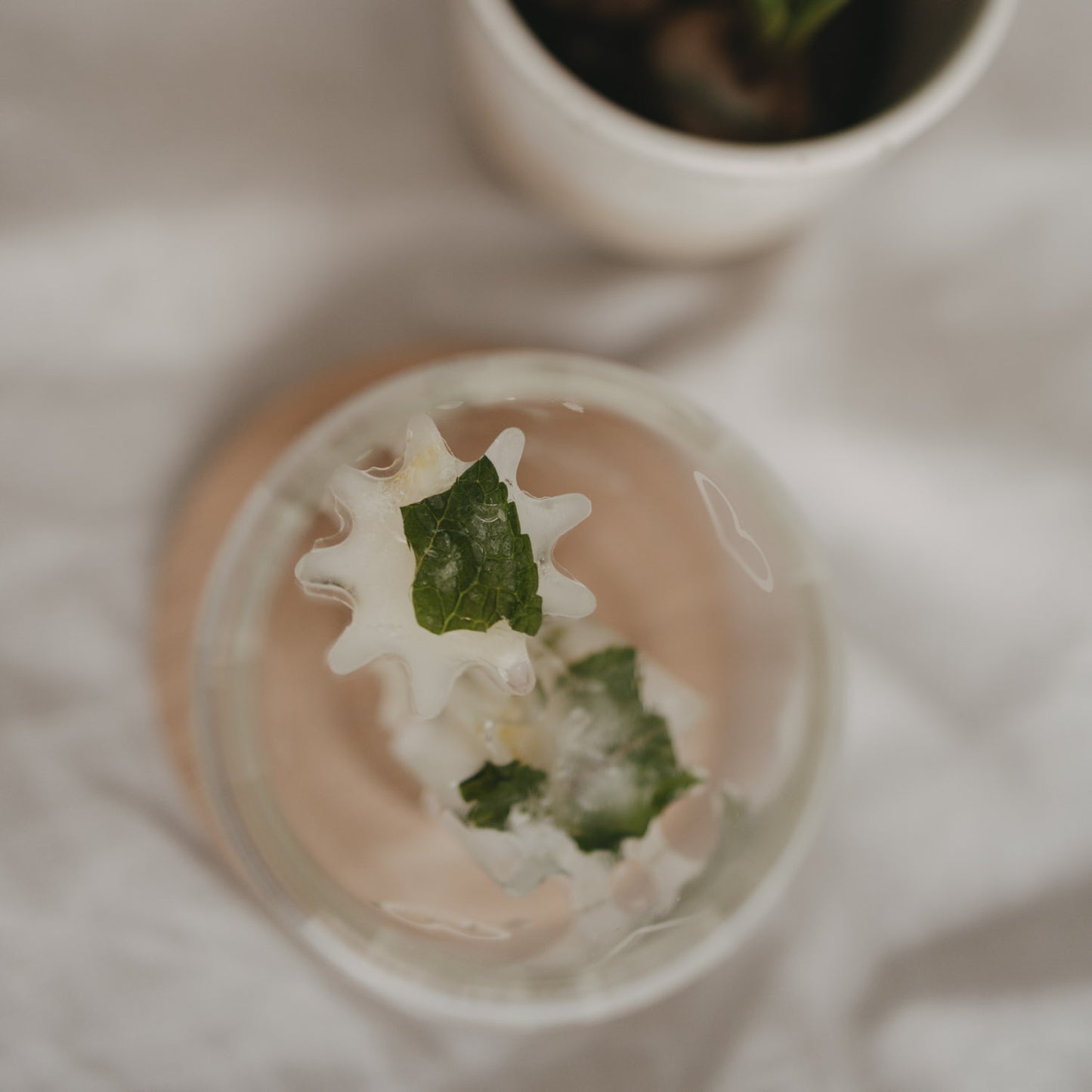Fertiger Eiswürfel mit Minze aus der grauen Blütenform aus flexiblem Silikon gehalten in einem hohen Trinkglas.