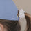 Detailansicht hellblaue Cap mit Smiley-Stickerei an der Rückseite