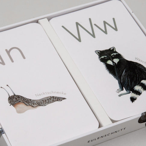 Tieralphabet Karten N für Nacktschnecke und W für Waschbär in Box.