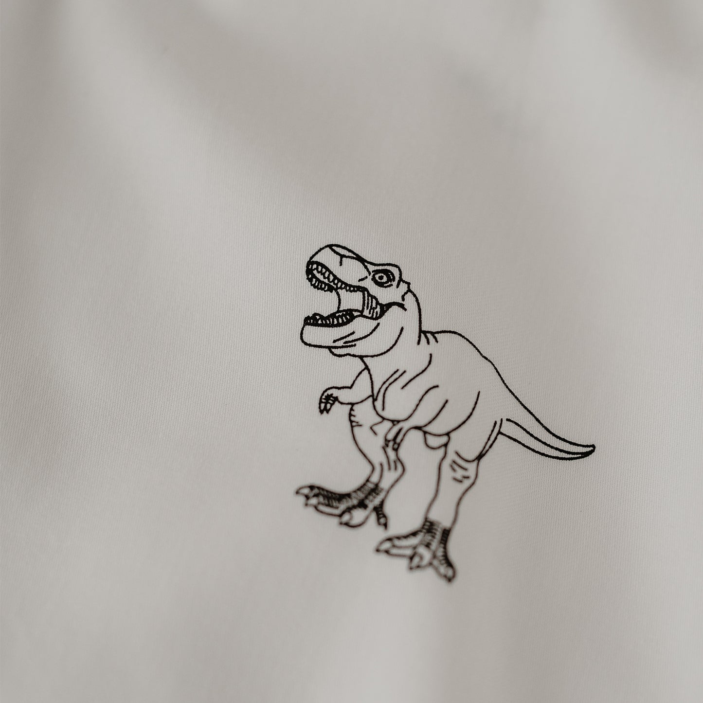 Bettwäsche Dinosaurier