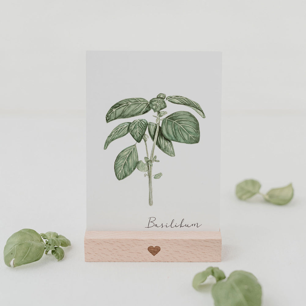 Support de cartes postales ou photos 10